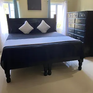 Travelers Apartment Scarlett Hall